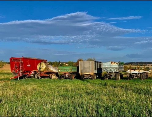 Lkw und Anhänger stehen auf einer grünen Wiese unter blauem Himmel.