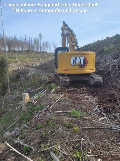Bagger auf einer gerodeten Fläche mit Bäumen im Hintergrund.